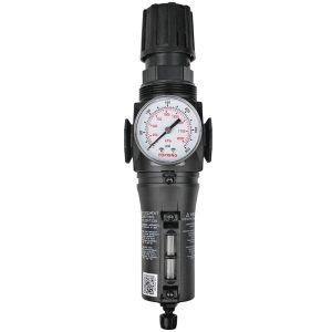 50.238A - 5 Micron Filter Regulator 30 to 125 PSI 1/2 (F) NPT S50