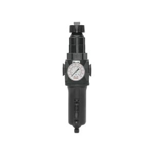 50.252A - 5 Micron Filter Regulator 0 to 125 PSI 3/4 (F) NPT S50