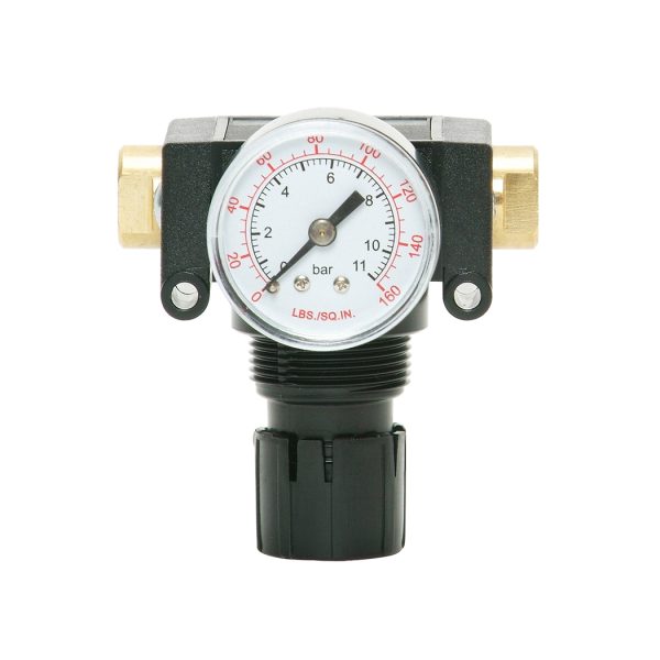 50.320A - Acetal Regulator 0 to 125 PSI 1/4 (F) NPT S50