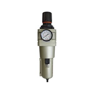 51.556 - Filtre régulateur 5 microns 5 à 125 PSI 1 (F) NPT S51